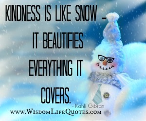 Kindness is like snow - Wisdom Life Quotes