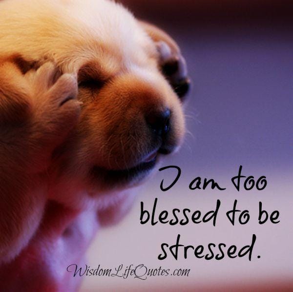 I am too blessed to be stressed
