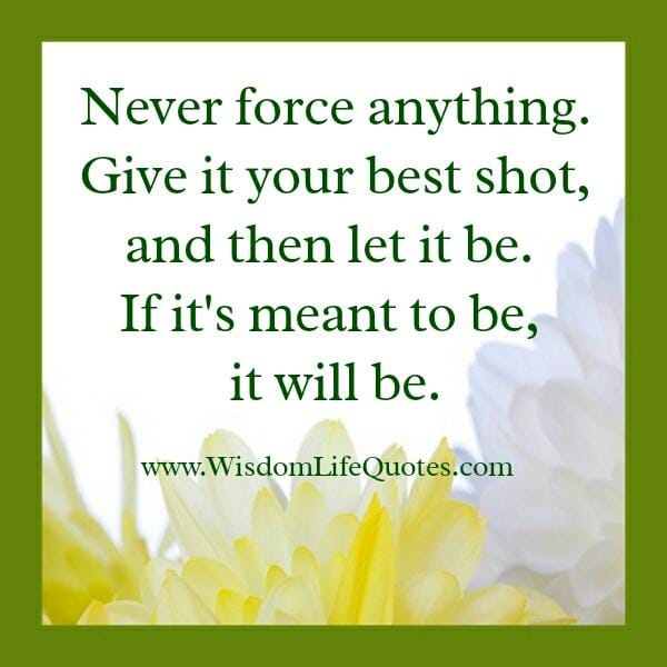 Never force anything in your life