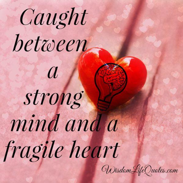 Caught between a strong mind and a fragile heart