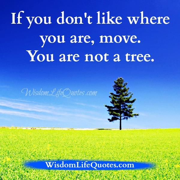 If you don't like where you are, MOVE