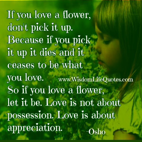 Love is not about possession