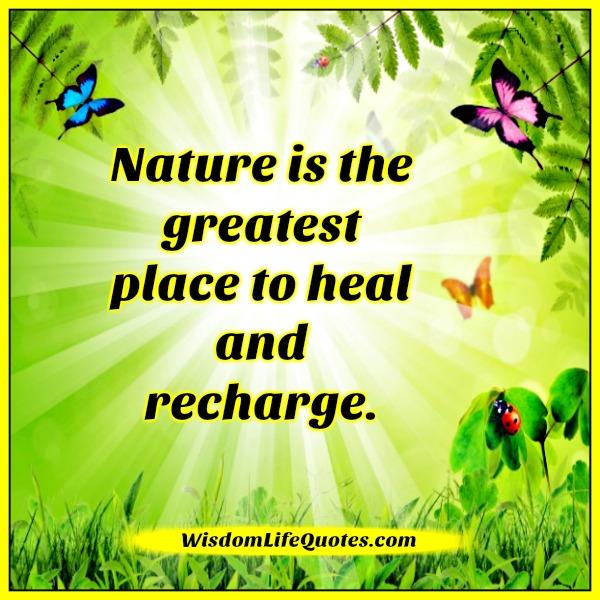Nature is the greatest place to heal & recharge