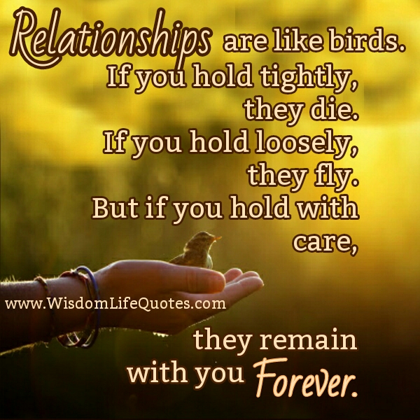 Relationships are like Birds