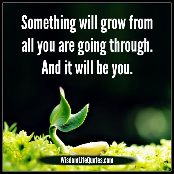 Something will grow from all you are going through