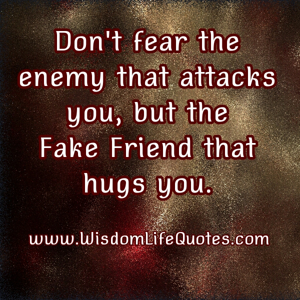 The Fake Friend that hugs you