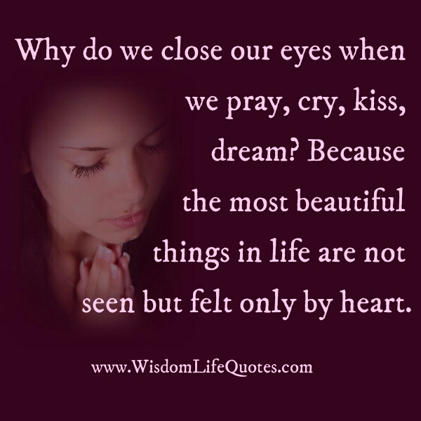 Why do we close our eyes when we kiss or dream?